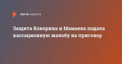 Павел Мамаев - Александр Кокорин - Игорь Бушманов - Защита Кокорина и Мамаева подала кассационную жалобу на приговор - ren.tv