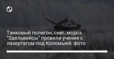 Танковый полигон, снег, мороз. "Эдельвейсы" провели учения с лазертагом под Коломыей: фото - liga.net - Ивано-Франковская обл.