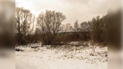 Под Воронежем пропавшего в январе мужчину нашли в камышах убитым - vestivrn.ru - Воронеж