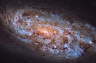 Hubble сфотографировал уникальную галактику в созвездии Голубя - zik.ua - США