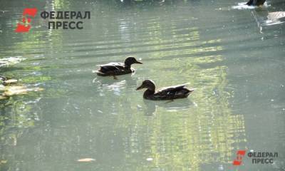 Сергей Аксенов - Уровень воды в крымских водохранилищах продолжает падать - fedpress.ru - Крым - Симферополь
