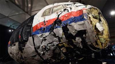 Стеф Блок - MH17: Нидерланды не будут будут привлекать Украину к ответу за незакрытое авиапространство - bin.ua - Голландия