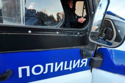 Пропавшую школьницу нашли в квартире 37-летнего россиянина - lenta.ru - Санкт-Петербург