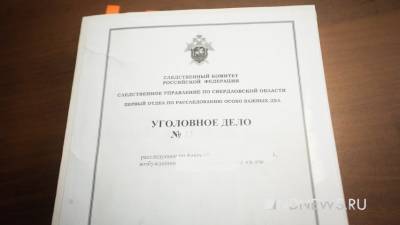 Из-за смерти второклассника на пожаре возбуждено уголовное дело - newdaynews.ru - Свердловская обл.