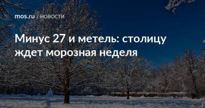 Минус 27 и метель: столицу ждет морозная неделя - mos.ru - Москва