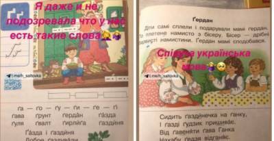 "Від ґавеняти ґава Ганка": учебник украинского языка для первоклашек ошеломил харьковчан, фото - kharkov.politeka.net - Харьков