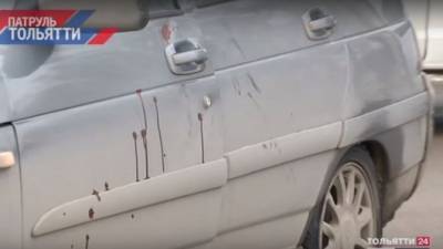 Ударил по тормозам, но было поздно — на машине осталась кровь - usedcars.ru - Тольятти