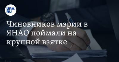 Чиновников мэрии в ЯНАО поймали на крупной взятке - ura.news - окр. Янао