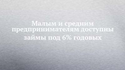 Малым и средним предпринимателям доступны займы под 6% годовых - chelny-izvest.ru - респ. Татарстан