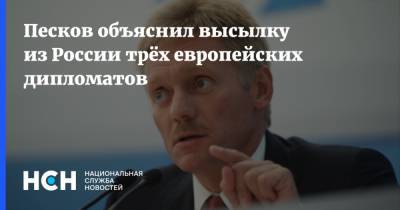 Алексей Навальный - Мария Захарова - Дмитрий Песков - Песков объяснил высылку из России трёх европейских дипломатов - nsn.fm - Швеция