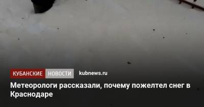 Метеорологи рассказали, почему пожелтел снег в Краснодаре - kubnews.ru - Краснодар