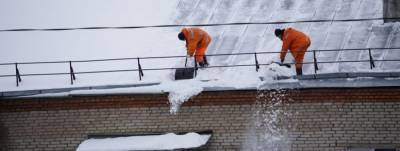Александр Астахов - В Челябинске на уборку крыш от снега вывели более тысячи дворников - runews24.ru - Челябинск