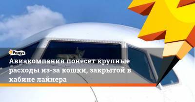 Авиакомпания понесет крупные расходы из-за кошки, закрытой в кабине лайнера - ridus.ru - Тель-Авив