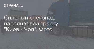 Сильный снегопад парализовал трассу "Киев - Чоп". Фото - strana.ua - Киев - Закарпатская обл.