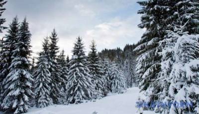 В Карпатах намело почти полутораметровые сугробы снега - lenta.ua