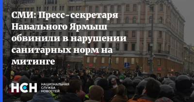 Алексей Навальный - Кира Ярмыш - Вероника Полякова - Ирина Софинская - СМИ: Пресс-секретаря Навального Ярмыш обвинили в нарушении санитарных норм на митинге - nsn.fm - Москва