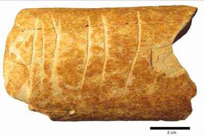 В Израиле нашли кость со старинной символической гравюрой - zik.ua - Израиль - Находка