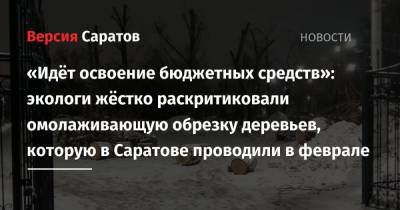 «Идёт освоение бюджетных средств»: экологи жёстко раскритиковали омолаживающую обрезку деревьев, которую в Саратове проводили в феврале - nversia.ru - Саратов