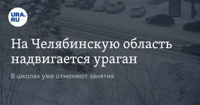 На Челябинскую область надвигается ураган. В школах уже отменяют занятия - ura.news - Челябинская обл.