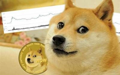 Илон Маск - Криптовалюта Dogecoin резко добавила в цене после твитов трех знаменитостей - korrespondent.net - Twitter