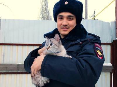 Жительница Омска похитила у соседки кошку, шубу и косметику - m24.ru - Омск