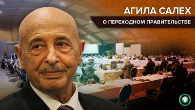 Агила Салех - Салех призвал население региона Киренаика поддержать переходное правительство Ливии - riafan.ru - Ливия - Женева