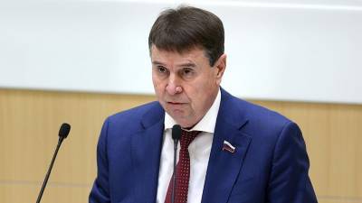 Владимир Зеленский - Сергей Цеков - Сенатор назвал оправданием бездействия слова Зеленского о «Спутнике V» - iz.ru - Крым