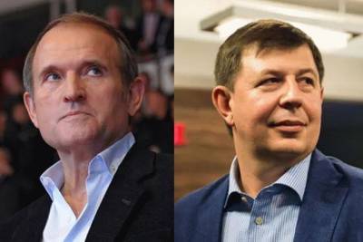 Виктор Медведчук - Тарас Козак - Медведчук и Козак участвуют в крупном российском проекте - real-vin.com