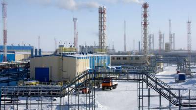 Наталья Мильчакова - «Газпром» сообщил о сокращении доходов от экспорта сырья в 2020 году - riafan.ru - Москва