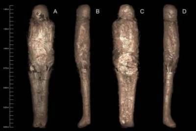 Археологи обнаружили уникальную мумию в глиняной оболочке - lenta.ua - Австралия - Египет