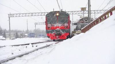 РЖД прогнозирует рост грузовых и пассажирских перевозок - vesti.ru