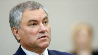 Вячеслав Володин - Володин провел переговоры с иранским коллегой - riafan.ru - Москва - Иран