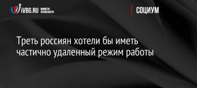 Треть россиян хотели бы иметь частично удаленный режим работы - ivbg.ru - Россия