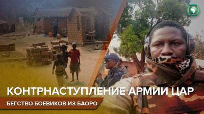 Франсуа Бозизе - Армия ЦАР выбила боевиков из города Баоро - riafan.ru - Судан - Китай - Камерун - Чад