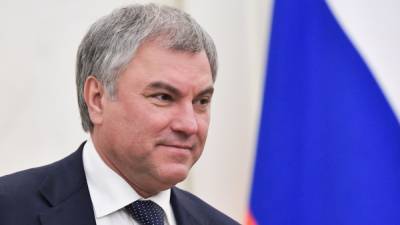 Сергей Неверов - Вячеслав Володин - Юлия Навальная - "Единая Россия" готовиться запретить участие "иноагентов" в выборах - svoboda.org