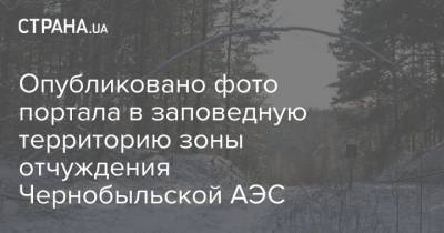 Опубликовано фото портала в заповедную территорию зоны отчуждения Чернобыльской АЭС - strana.ua - Украина