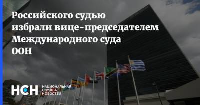 Российского судью избрали вице-председателем Международного суда ООН - nsn.fm - США