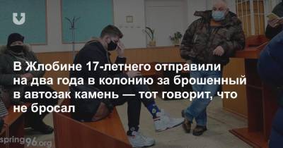 В Жлобине 17-летнего отправили на два года в колонию за брошенный в автозак камень — тот говорит, что не бросал - news.tut.by - Белоруссия - район Жлобинский