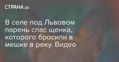 В селе под Львовом парень спас щенка, которого бросили в мешке в реку. Видео - strana.ua - Львов
