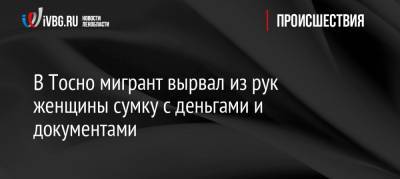 В Тосно мигрант вырвал из рук женщины сумку с деньгами и документами - ivbg.ru - Ленинградская обл. - Санкт-Петербург - Узбекистан