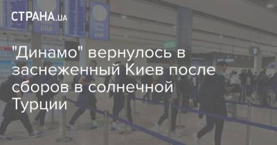 Мирча Луческ - "Динамо" вернулось в заснеженный Киев после сборов в солнечной Турции - strana.ua - Киев - Турция - Тбилиси - Луческ