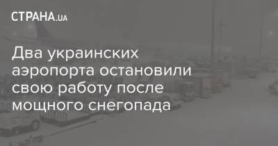 Два украинских аэропорта остановили свою работу после мощного снегопада - strana.ua - Киев - Киевская обл. - Кировоградская обл. - Хмельницкая обл. - Винницкая обл. - Черкасская обл. - Закарпатская обл. - Полтавская обл. - Черновцы - Винница - Донецкая обл.