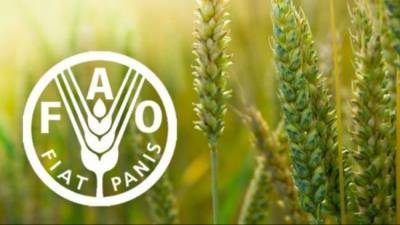 Тарас Качка - Агро - Украина вошла в Комитет по всемирной продовольственной безопасности - 24tv.ua - Новости