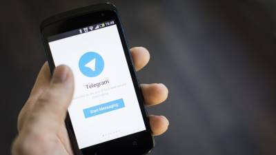 Павел Дуров - Дуров назвал главный фактор успеха Telegram - m24.ru