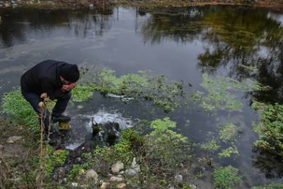 Названы российские регионы с самой загрязненной питьевой водой - lenta.ru - Ленинградская обл. - Владимирская обл. - Свердловская обл. - Архангельская обл. - Новгородская обл.