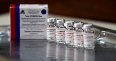 Интерес Германии к "Спутнику V" объяснили еврокатастрофой с вакцинами - ren.tv