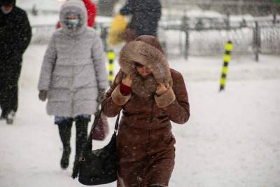 В Новосибирске вертикально упала температура: зима вернулась - novos.mk.ru - Новосибирск