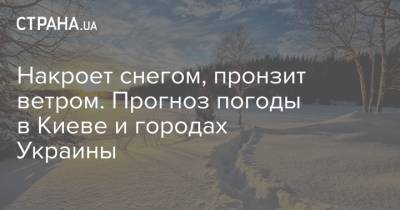 Накроет снегом, пронзит ветром. Прогноз погоды в Киеве и городах Украины - strana.ua - Киев - Одесса - Харьков