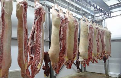 Импорт свинины в Украину подскочил более чем на 60% - agroportal.ua - Канада