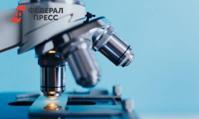 В РАН прокомментировали низкую зарплату сотрудницы, пожаловавшейся Путину - fedpress.ru - Новосибирск